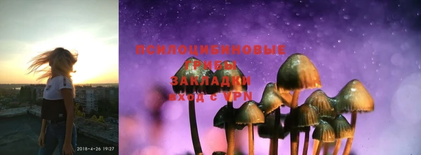 каннабис Богданович