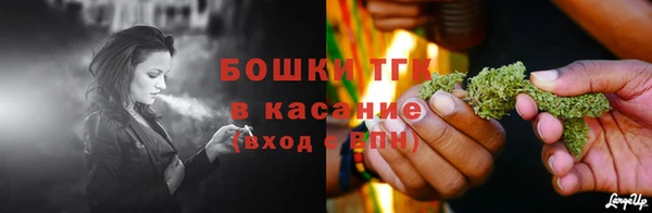 каннабис Богданович