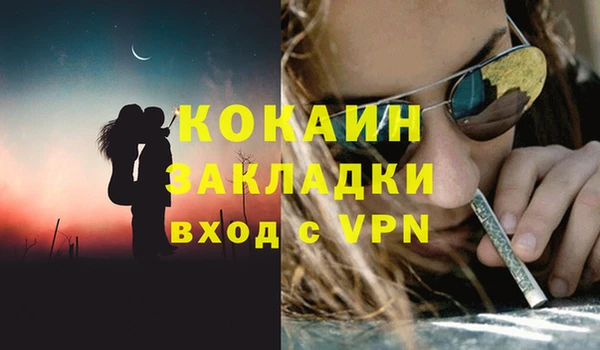 PSILOCYBIN Богородицк