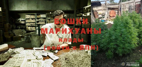PSILOCYBIN Богородицк